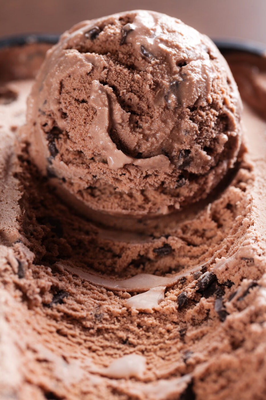 Chocolate Chocolate Chip Ice Cream