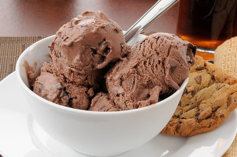 Chocolate Chocolate Chip Ice Cream