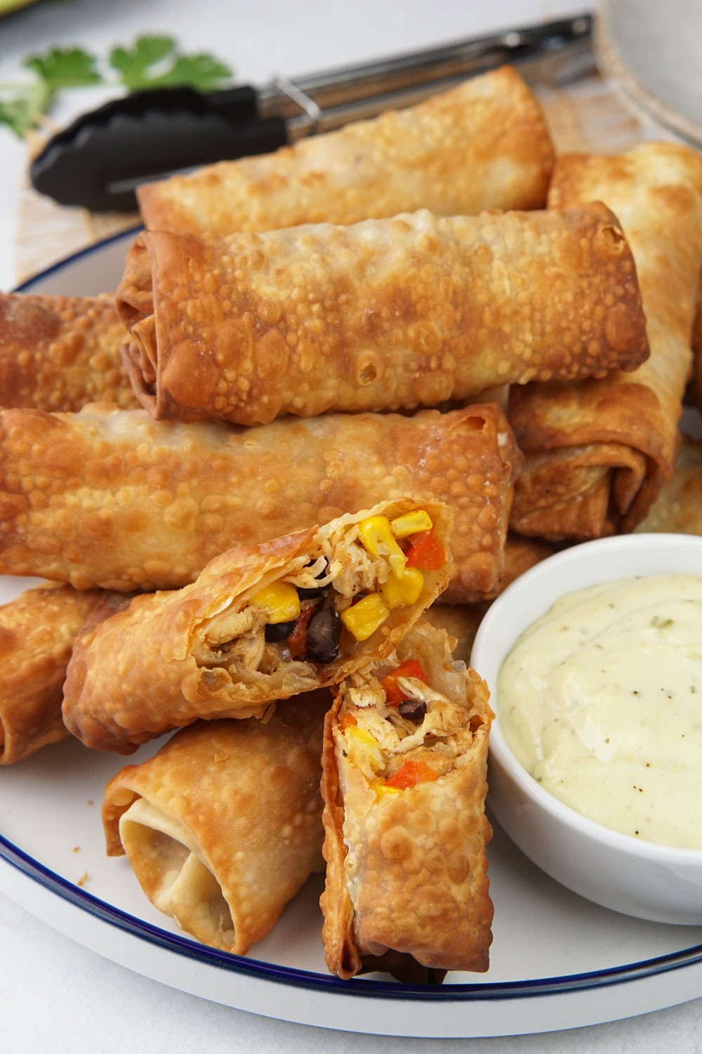Tex Mex Eggrolls