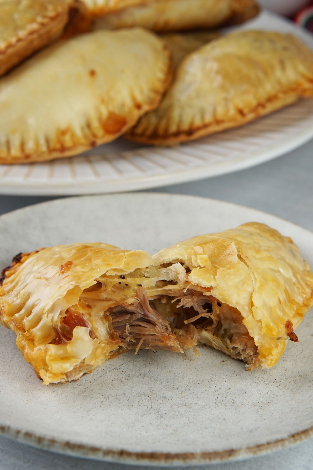 carnitas empanadas