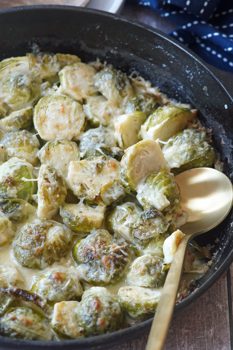 creamy brussels sprout au gratin