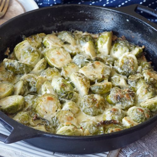 creamy brussels sprout au gratin